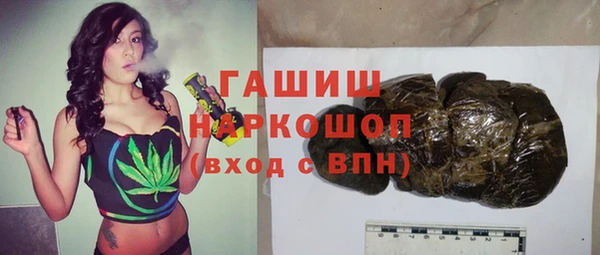 индика Горняк