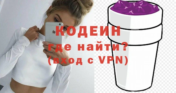 индика Горняк